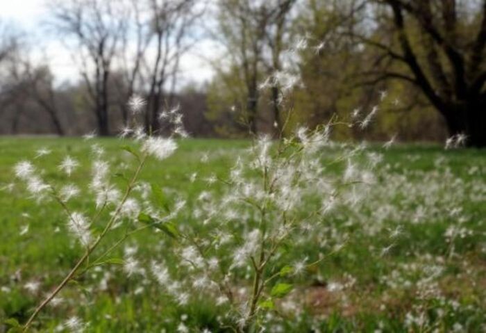 Иллюстрация: сгенерировано ИИ/ Шедеврум