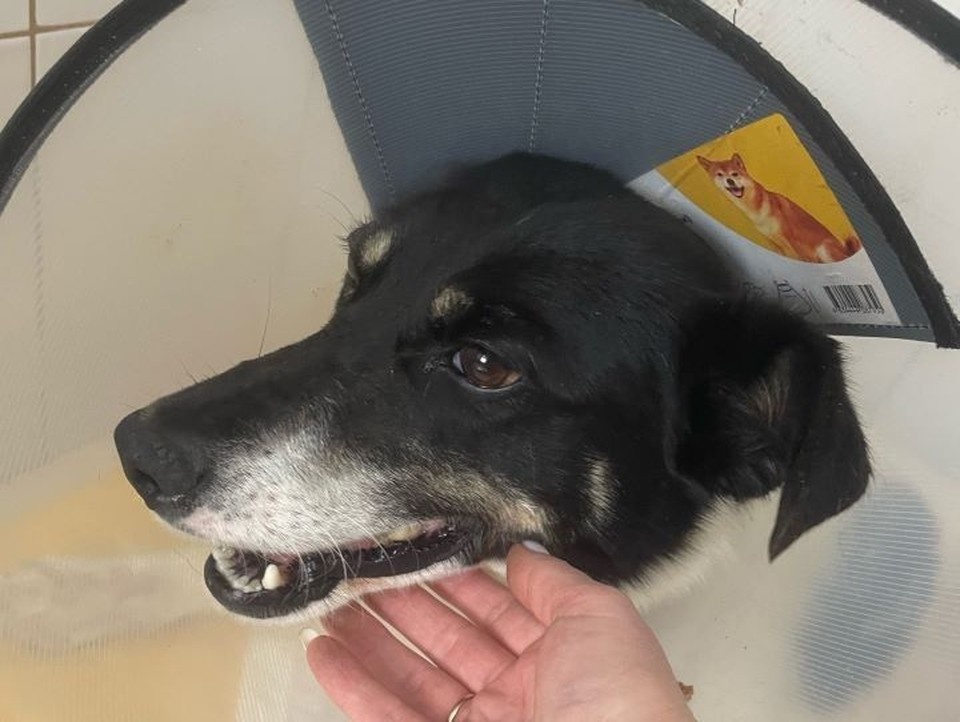    Ричи перенес операцию Соцсети