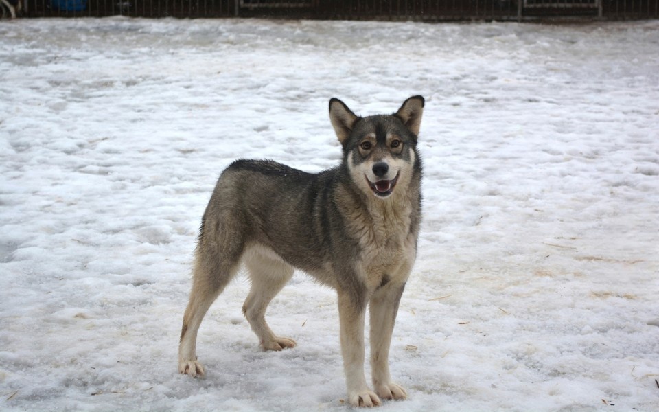    Киара из соцсетей