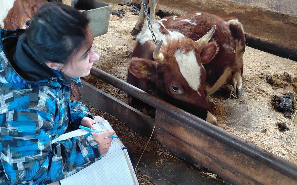    фото: © Министерство сельского и рыбного хозяйства РК