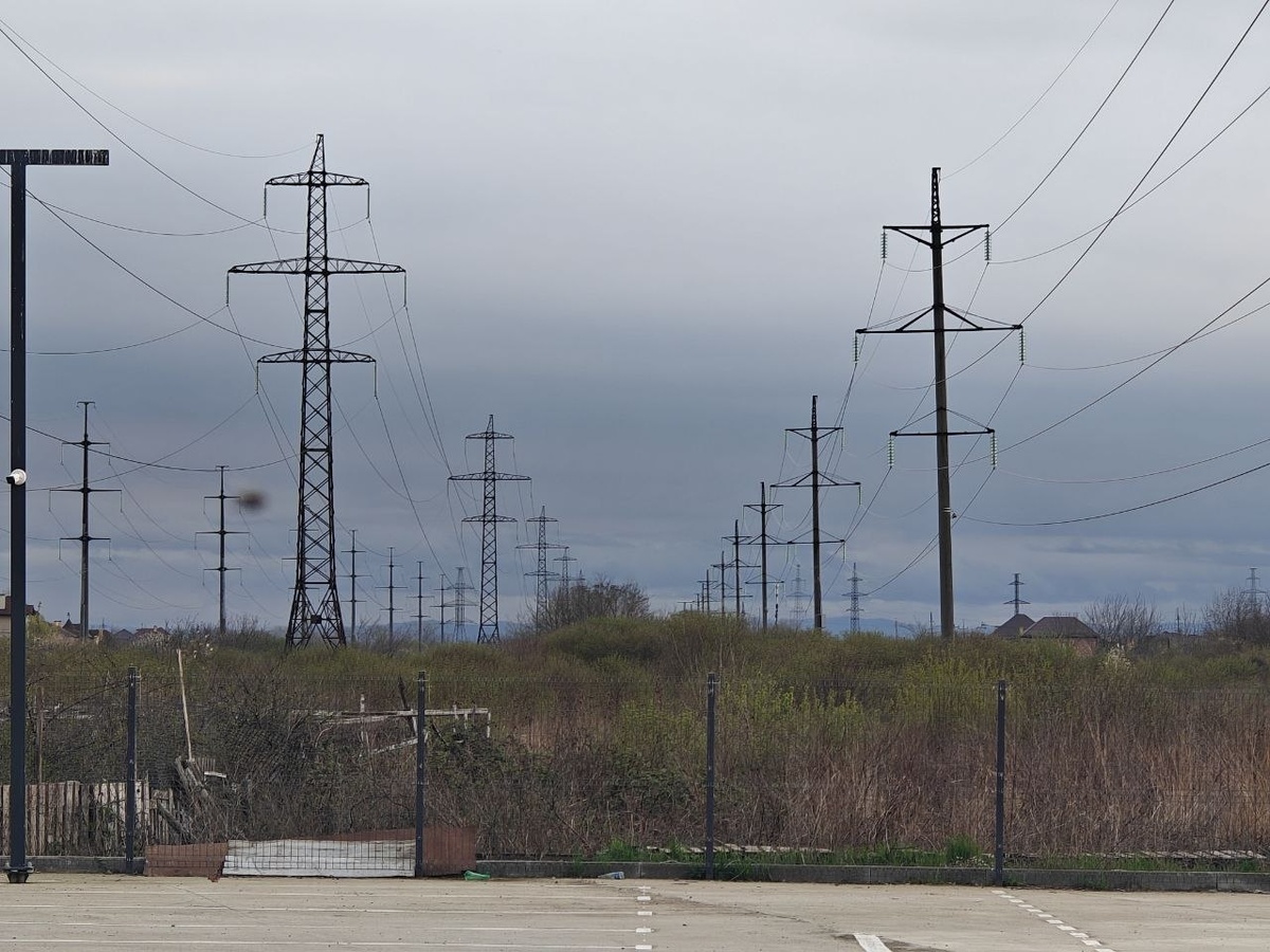    Фото: Юрий Серебренников/BFM Кубань