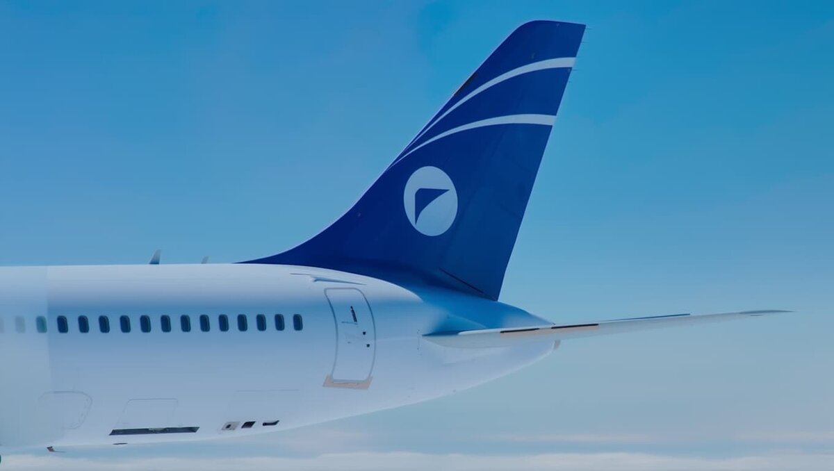    Хвост МС-21-310