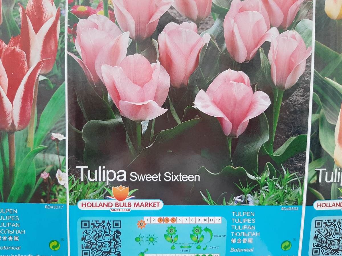 Фотографировала в магазине, чтобы знать сорт. Ха-ха-ха!