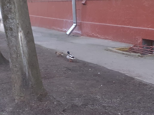 Фотография автора