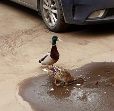 Фотография автора﻿
