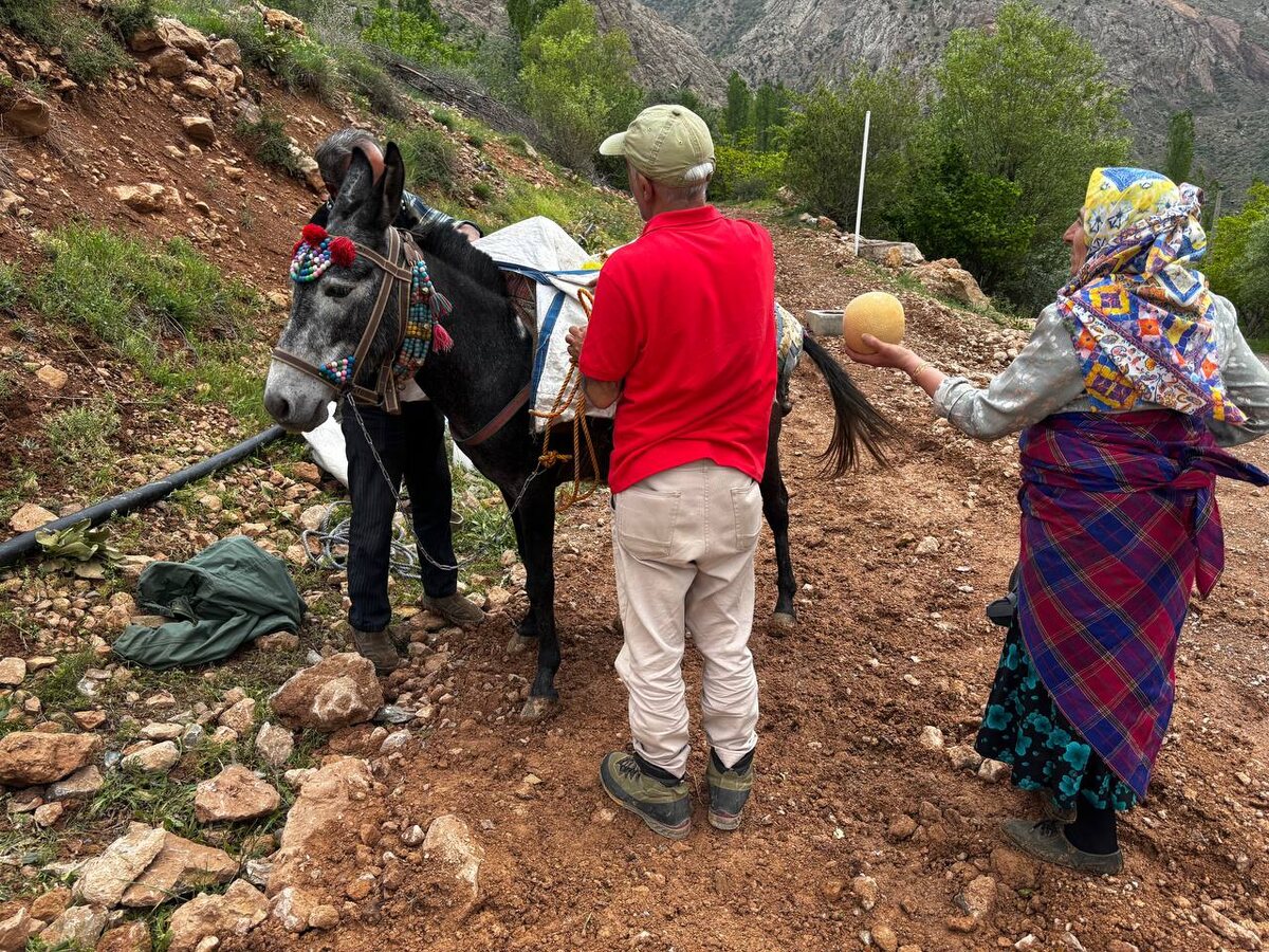 Вот кони, люди и предстоящий трекинг. 