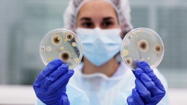    © Sputnik / Виталий Тимкив