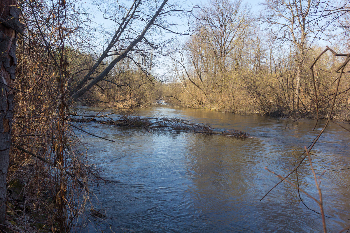 Половодье на реке Миасс.