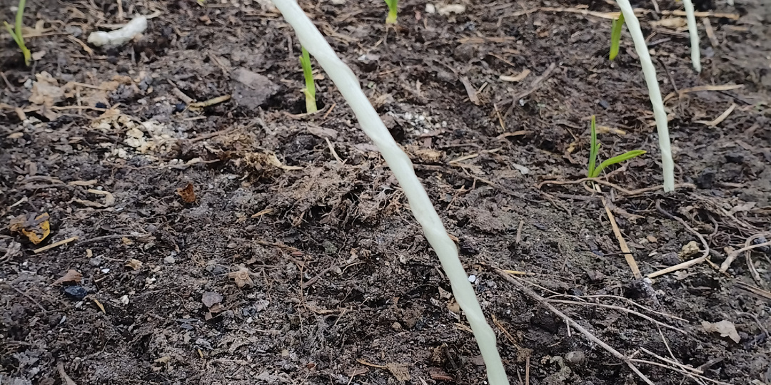 Готовлю новый участок к идеальной красоте ч 2. До и после.