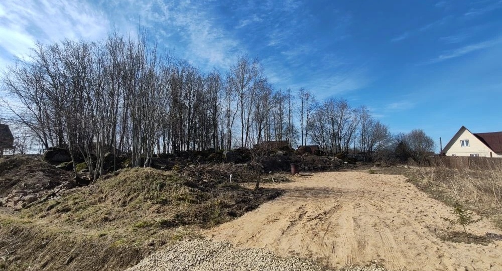 Как из зарослей рождается «Ваби-Саби»