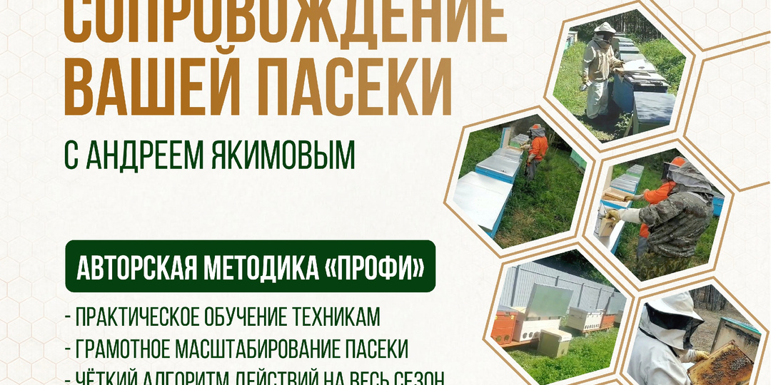 СОПРОВОЖДЕНИЕ ВАШЕЙ ПАСЕКИ С АНДРЕЕМ ЯКИМОВЫМ