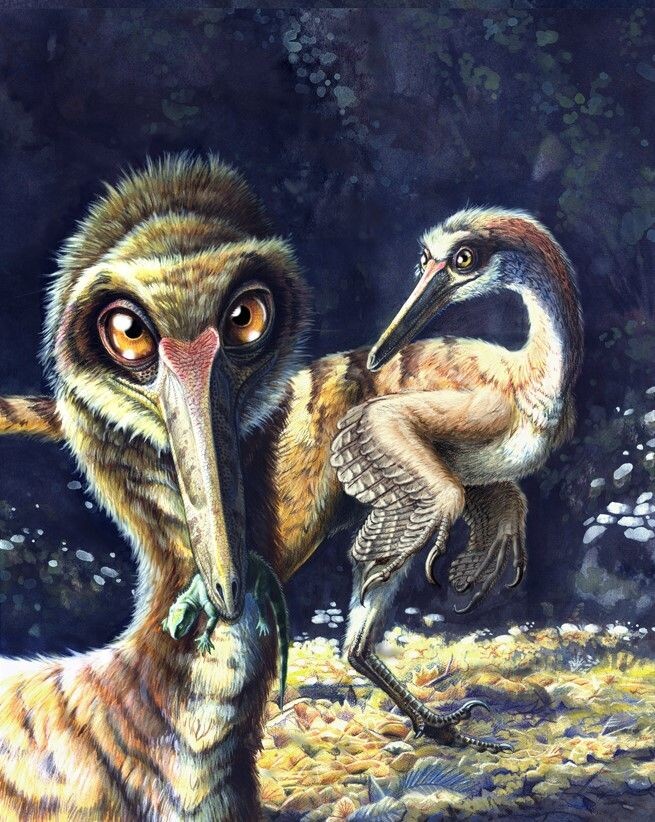 Ну вы только посмотрите на этого милашку! Мимими! Правда он вам все пальцы пооткусывает, но милый же!