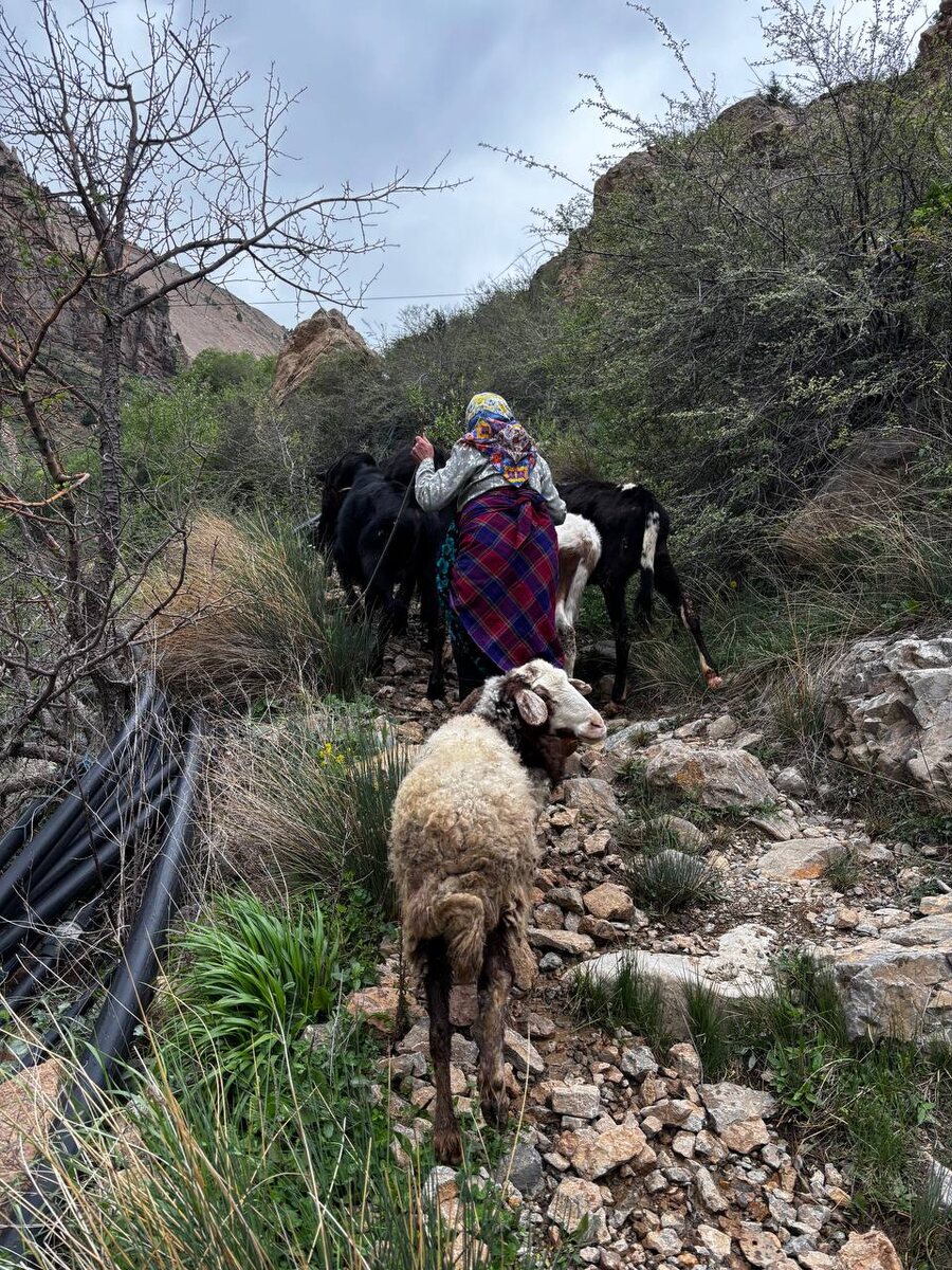 Мои спутники. Или я их