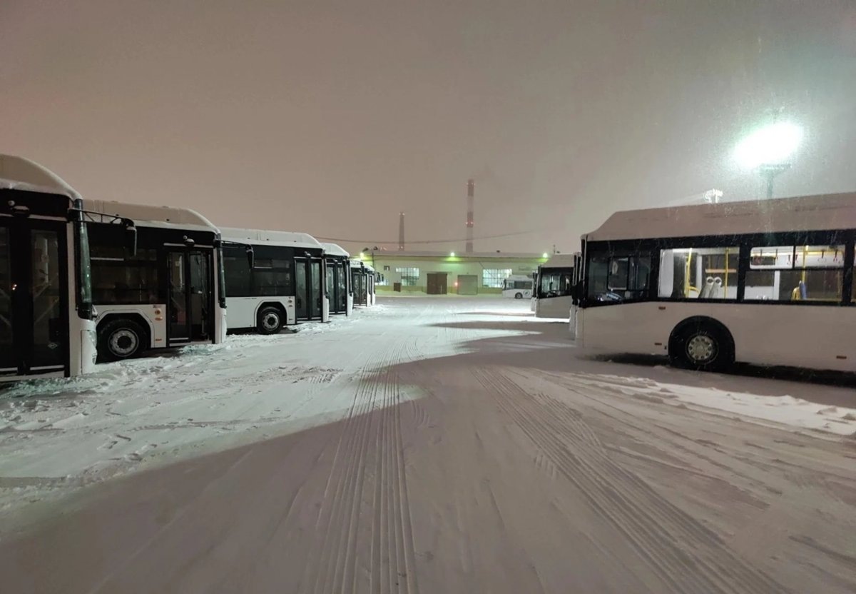     22 водителя «Домтрансавто» попали под подозрения после внутренней проверки компании
