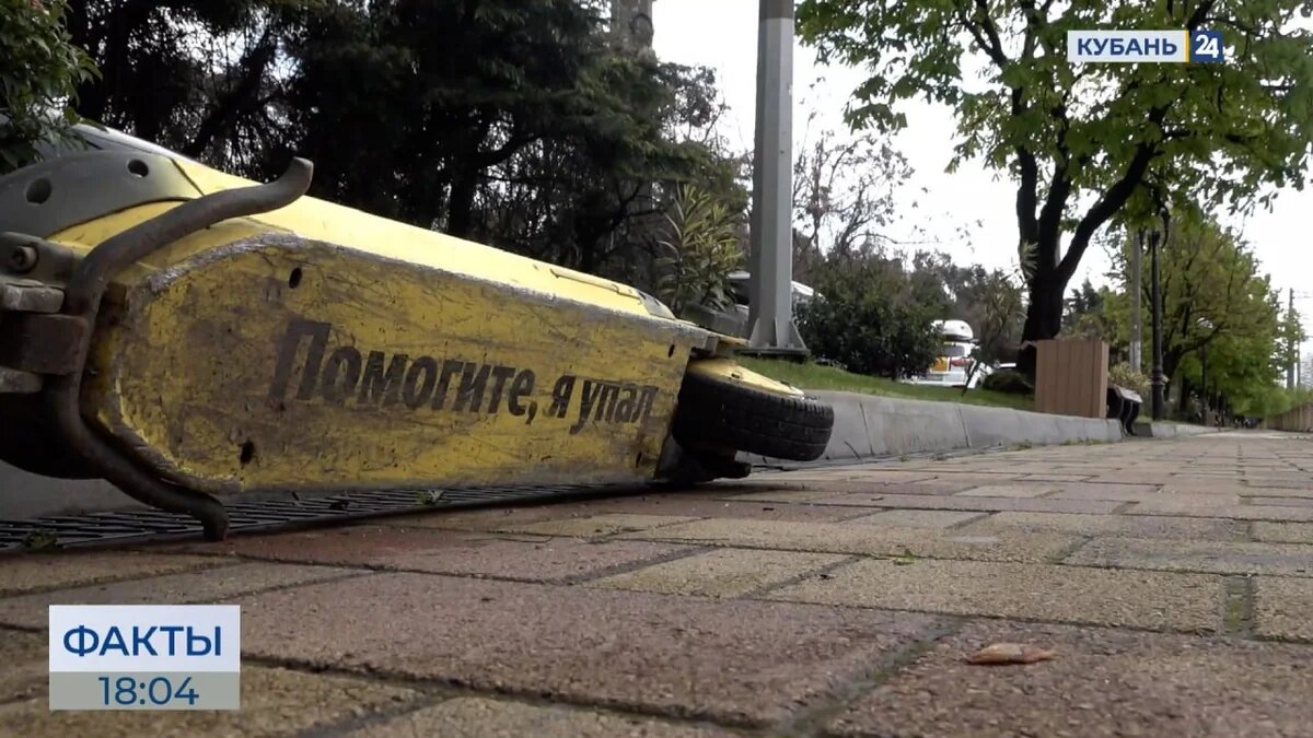    Скриншот видео телеканала «Кубань 24»