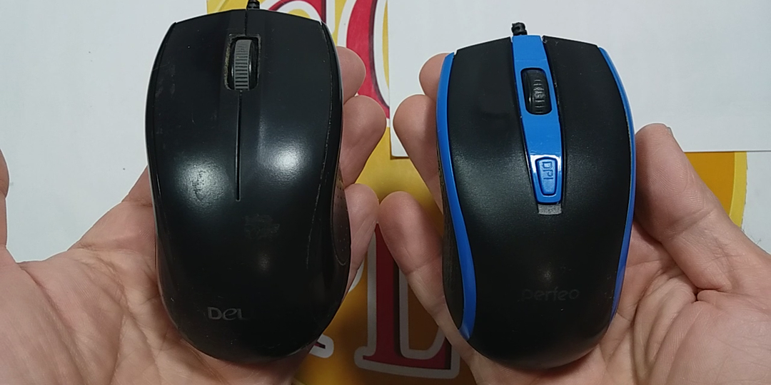 Компьютерная мышь, содержит дм?