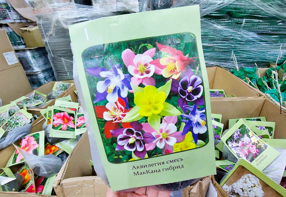 Все фото: канал Вера Ларина