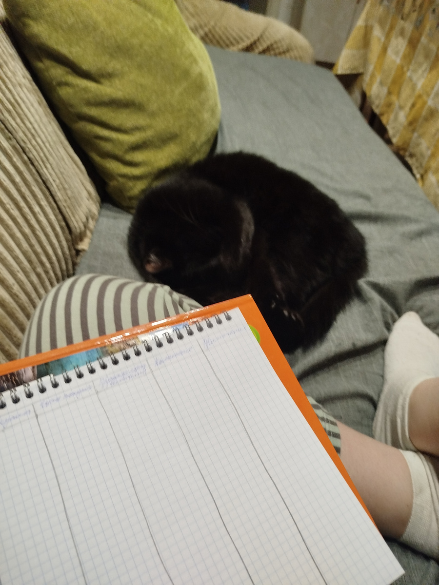 Кот, который вернулся