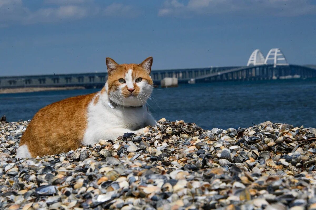 Так и выглядит идеальное фото