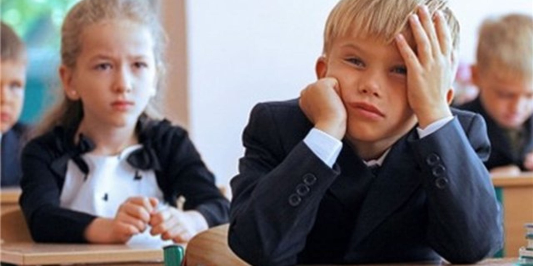 Почему умные дети страдают от совместного обучения, а отстающие — не догоняют