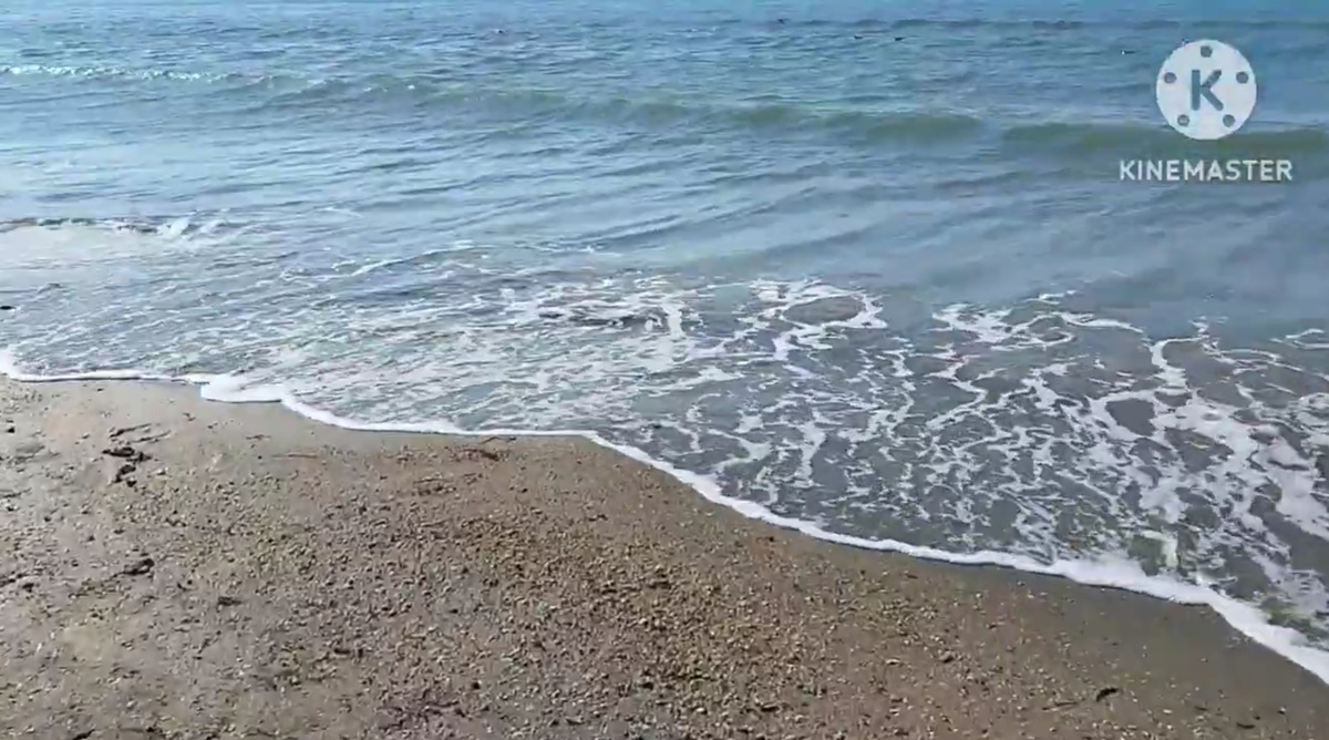 фото из личного архива