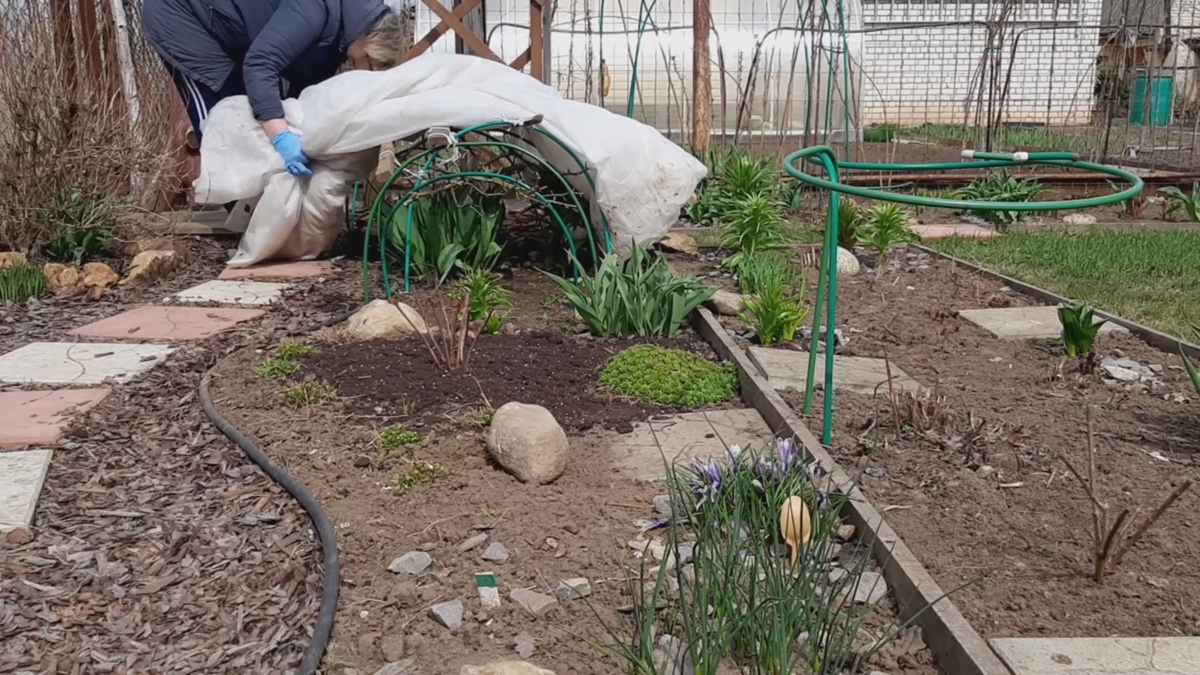 Что там? Как перезимовали?