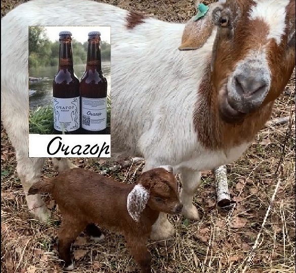 Может ли у белой родиться негритёнок?