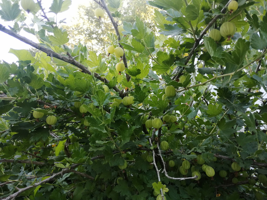 Ошибка № 1: посадка в тени