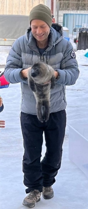 Нерпеныш в ребцентре.(Если вы увидели детёныша  нерпы,к нему нельзя подходить и трогать.Нужно вызвать МЧС или специалистов центра реабилитации.)