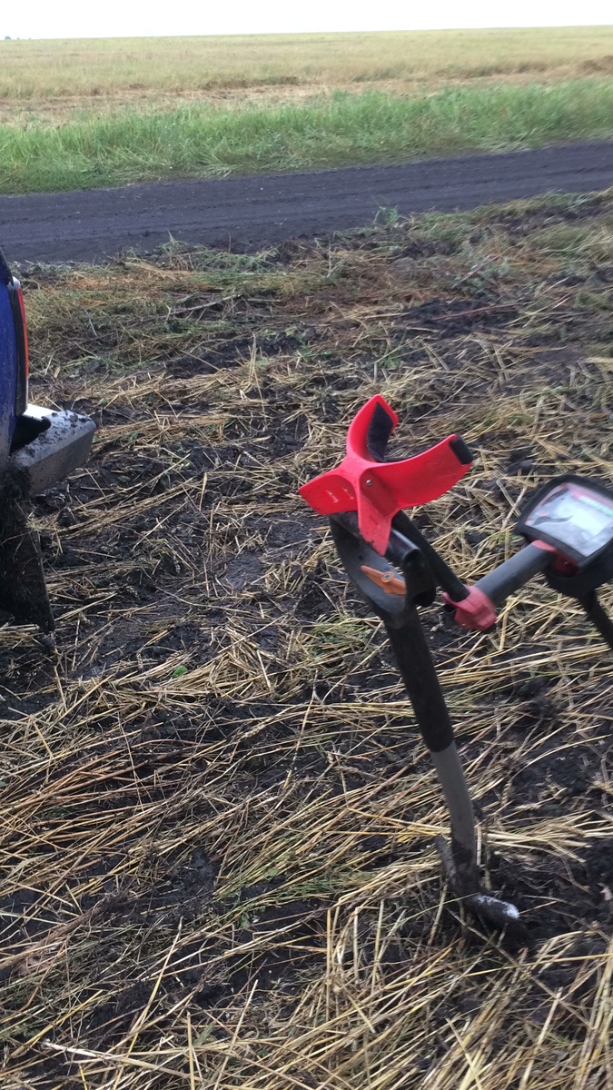 Нивы сжаты,рощи голы…