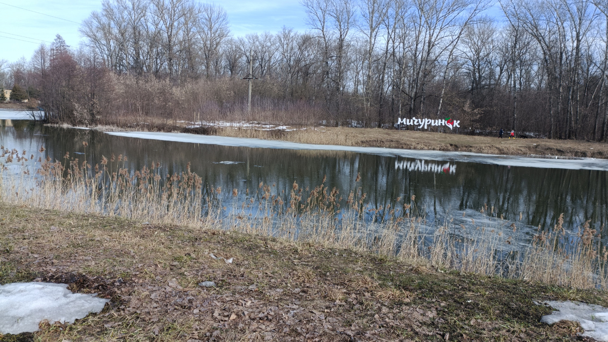 Река Лесной Воронеж