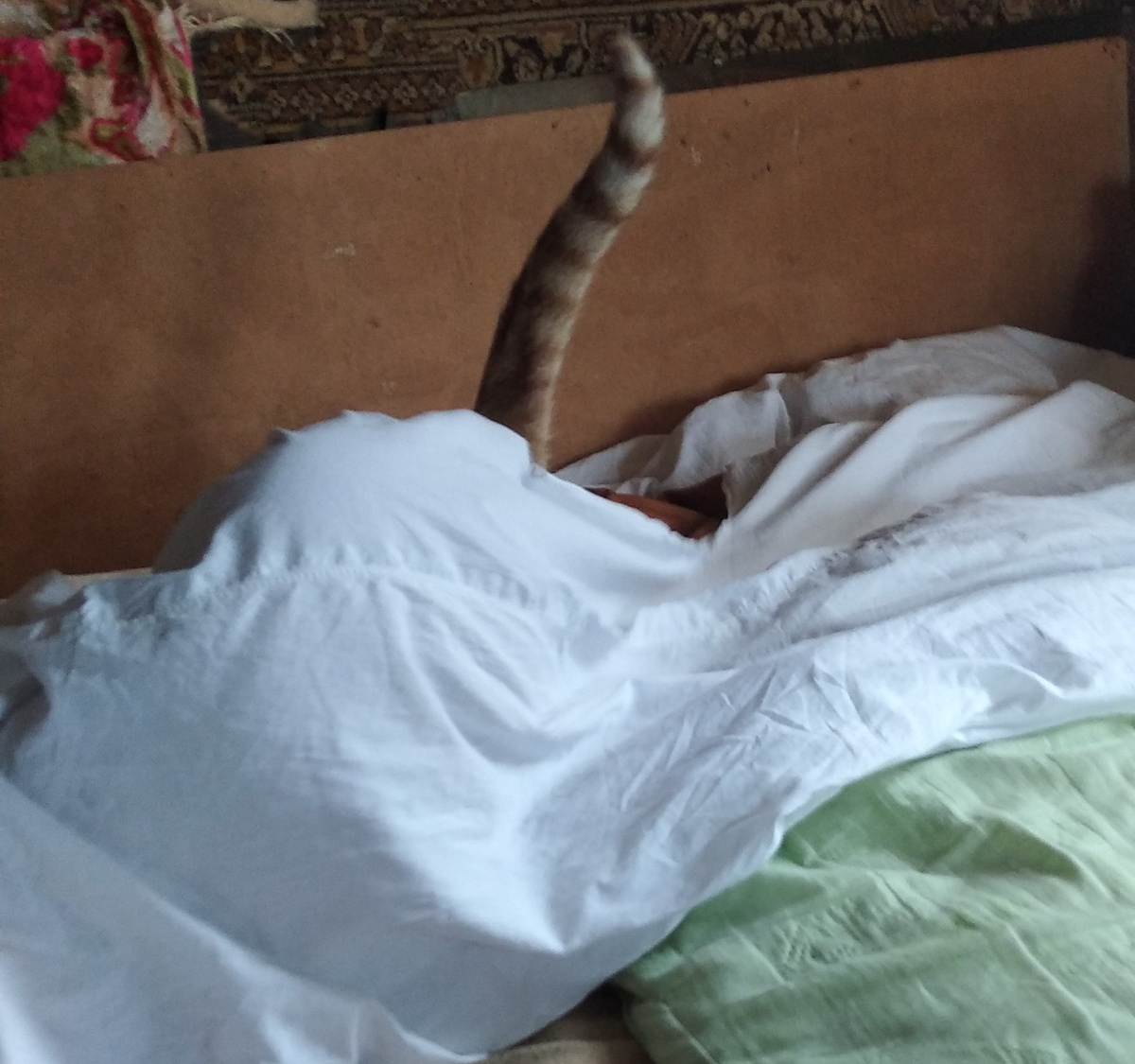 Личное фото