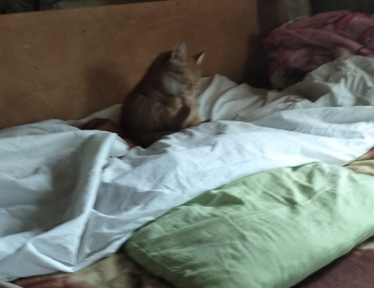 личное фото