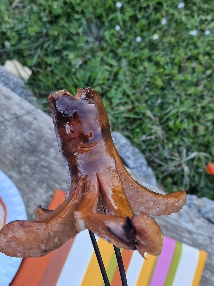 фото автора: осьминожек из сосиски