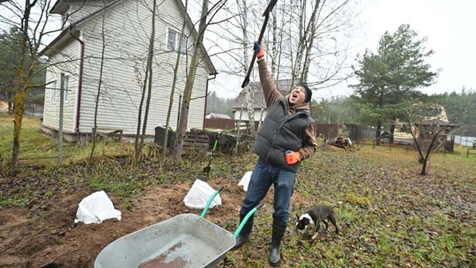 Агроном Терентьев: пропущенную в апреле подкормку чеснока не наверстать