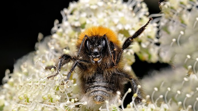 ���� ��������������� �������� �������� ������������ ������ ��������������� �������� ��������!