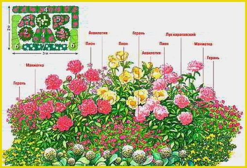 Вертикаль и ярусы — секрет компактного сада