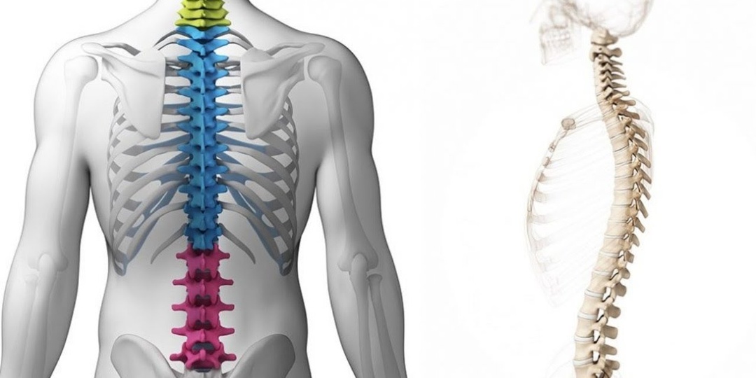 6 домашних упражнений для спины, которые заменяют тренажёрный зал