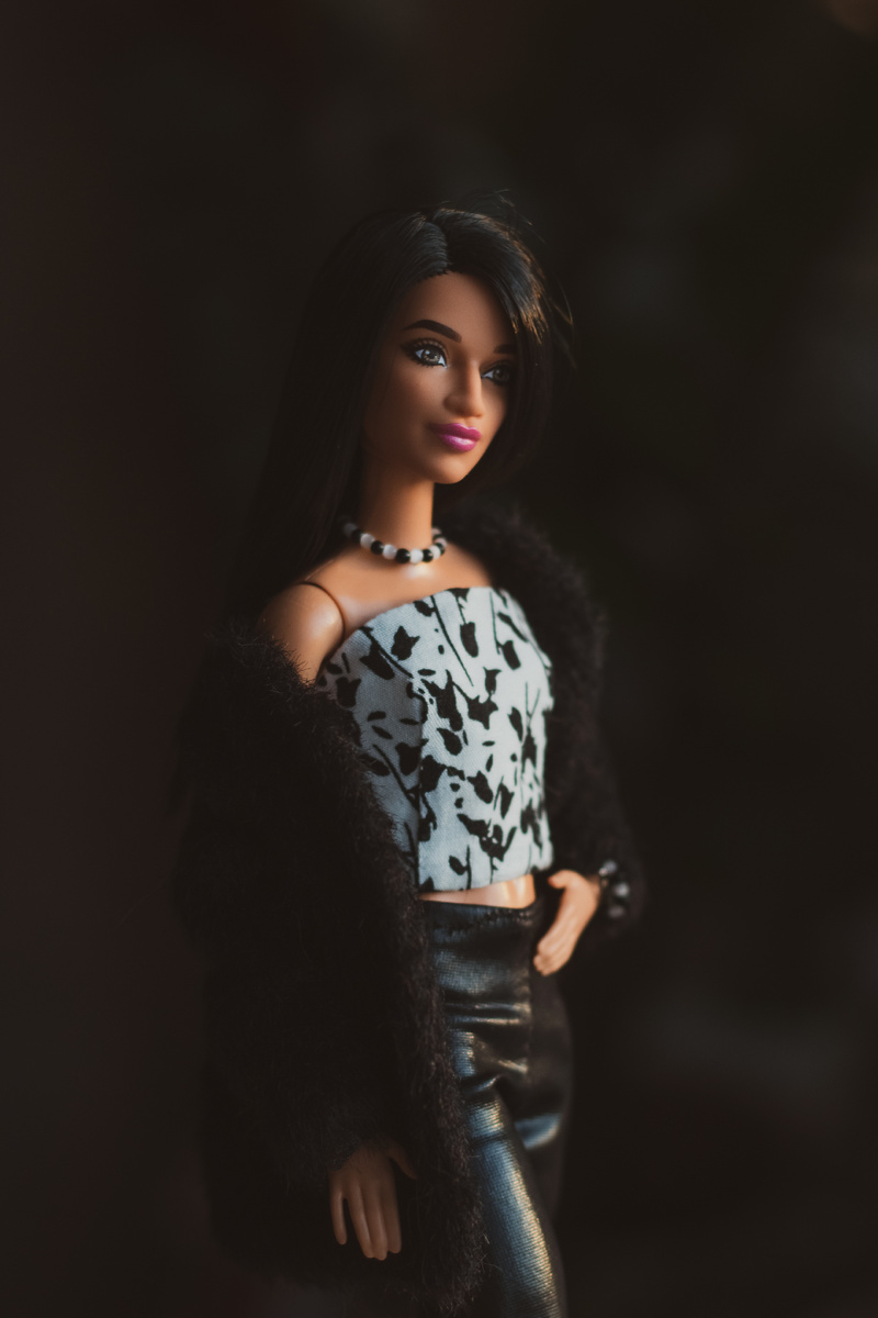 Barbie fashionistas 215