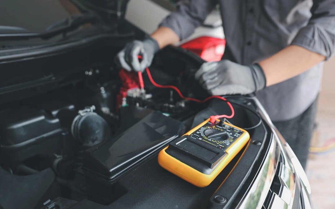 Фото: Noin90650 / Shutterstock / FOTODOM