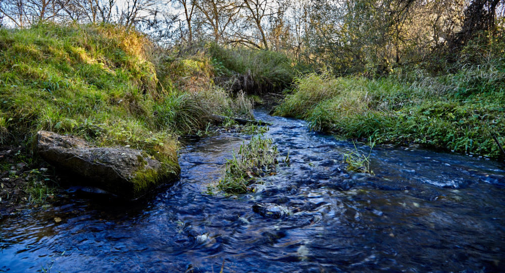 Журналист. Возвращение на озеро.