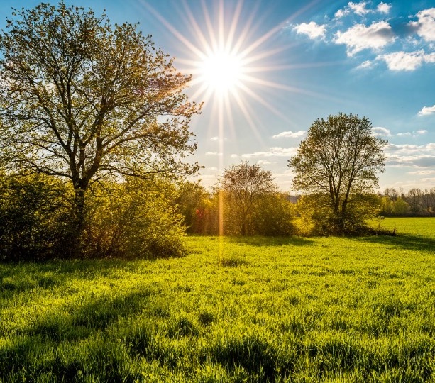15 апреля - что нельзя делать сегдня чтобы избежать болезней и пробем со здоровьем