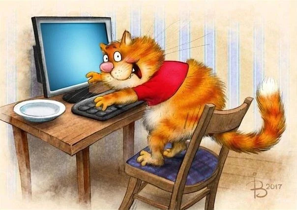 очаровательный котик Рины Зенюк