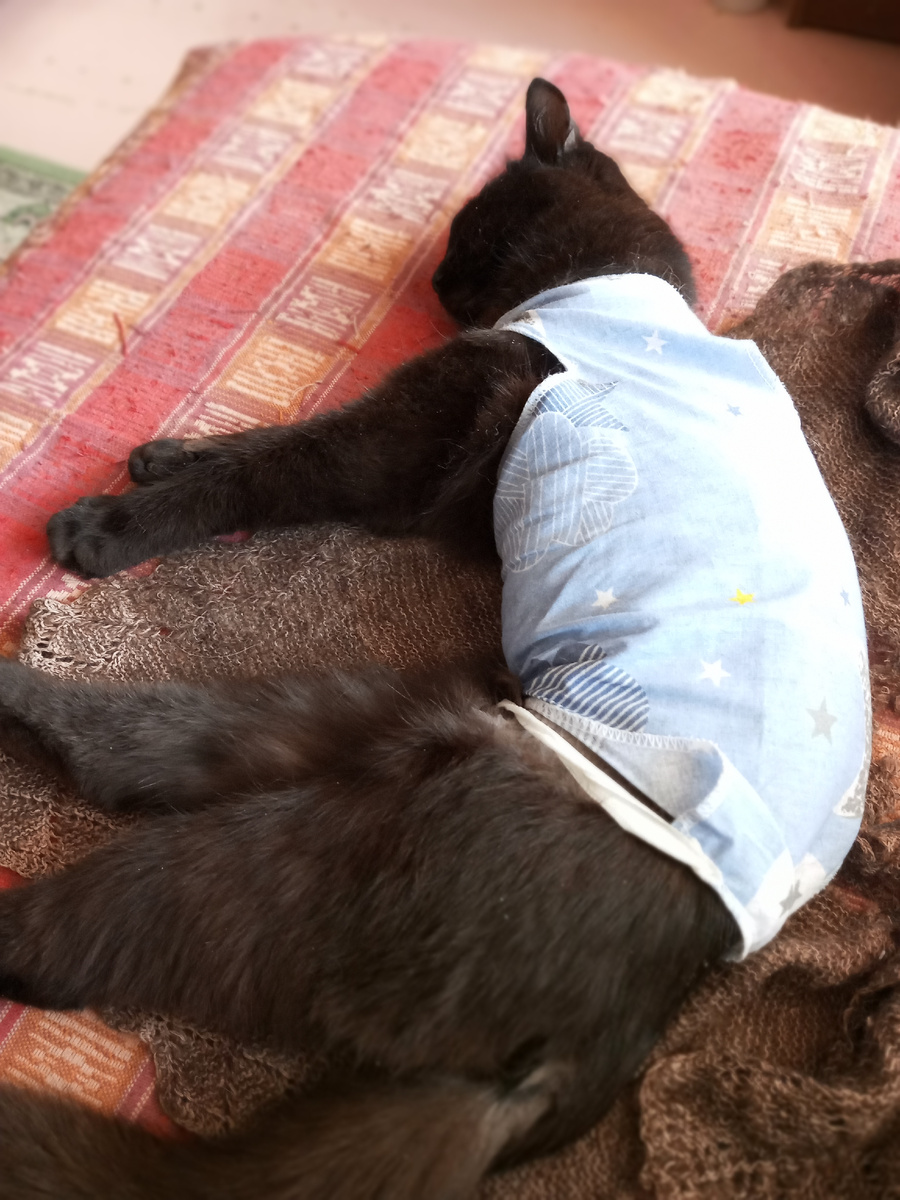 Хвостик ещё не оброс шёрсткой, но уже потемнел. А была кожица светлая.