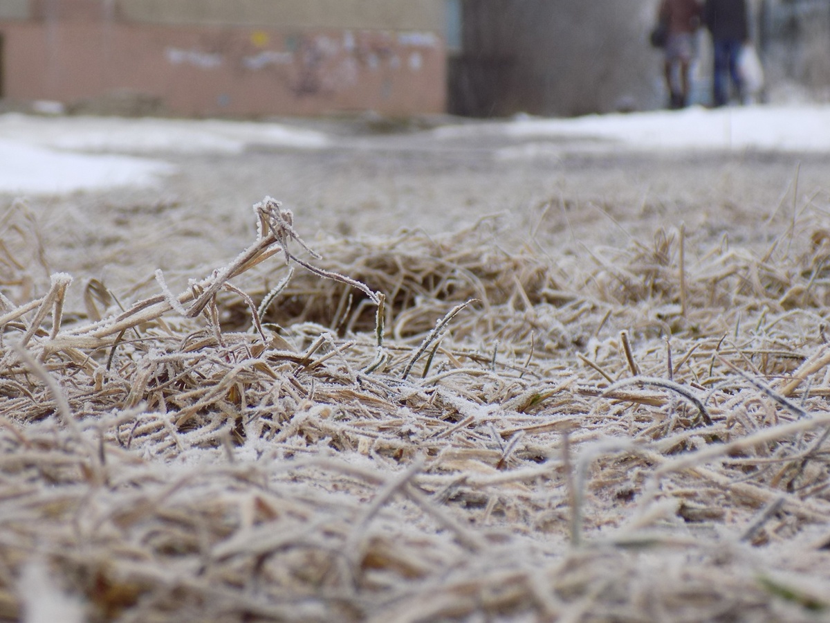 Ориби Камм Пирр - Февраль © Copyright: Ориби Камм Пирр