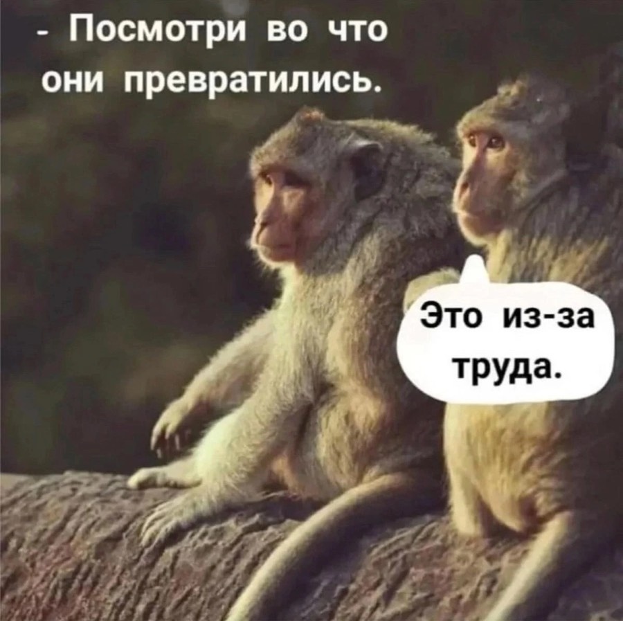 просто картинка из интернета