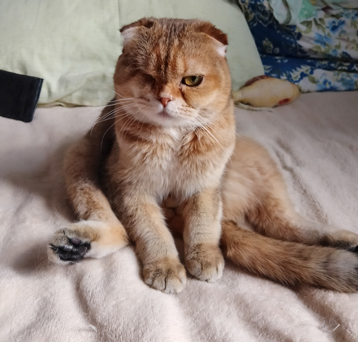 Да я всю ночь вот так, как часовой сидела, тебя охраняла, а ты.... 