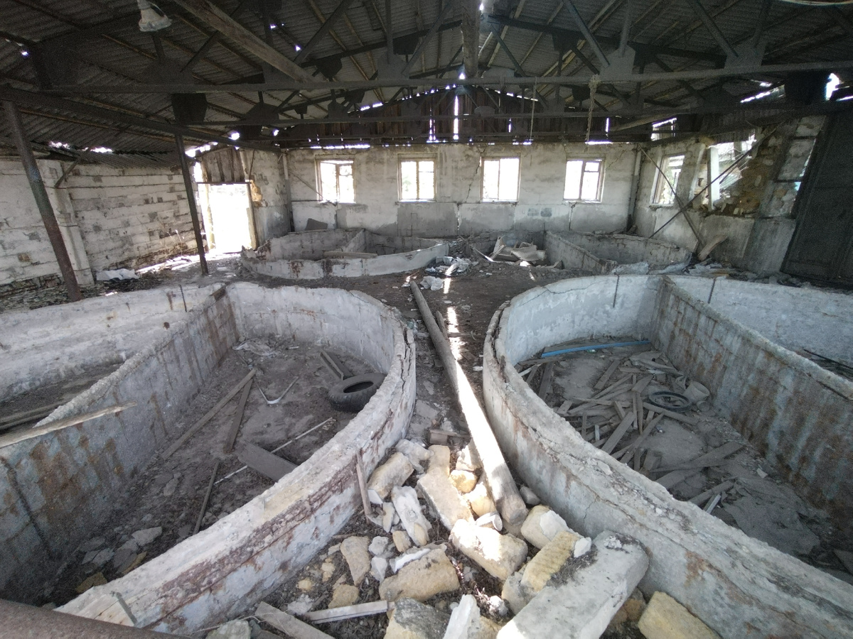 Бетонные круги.