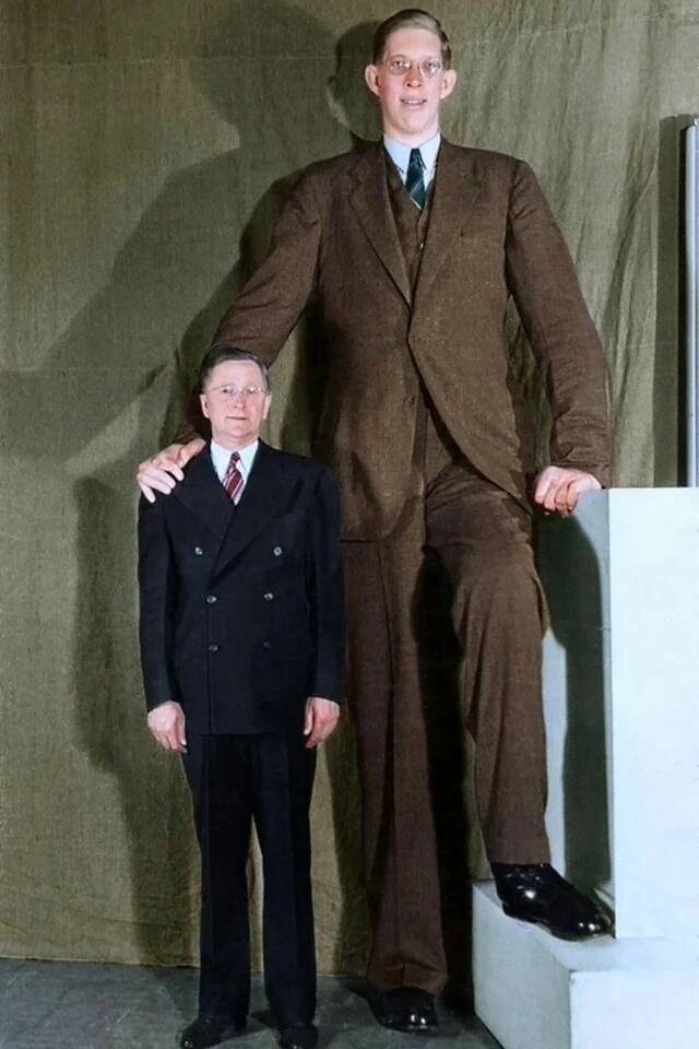 Роберт Уодлоу  (рост 264мм) рядом со своим отцом Гарольдом (180,5 см), 1938 г.