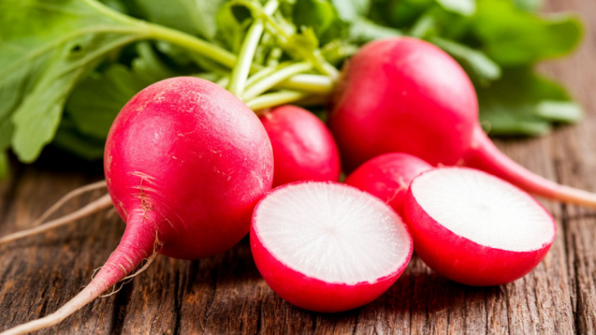    нейросеть shedevrum